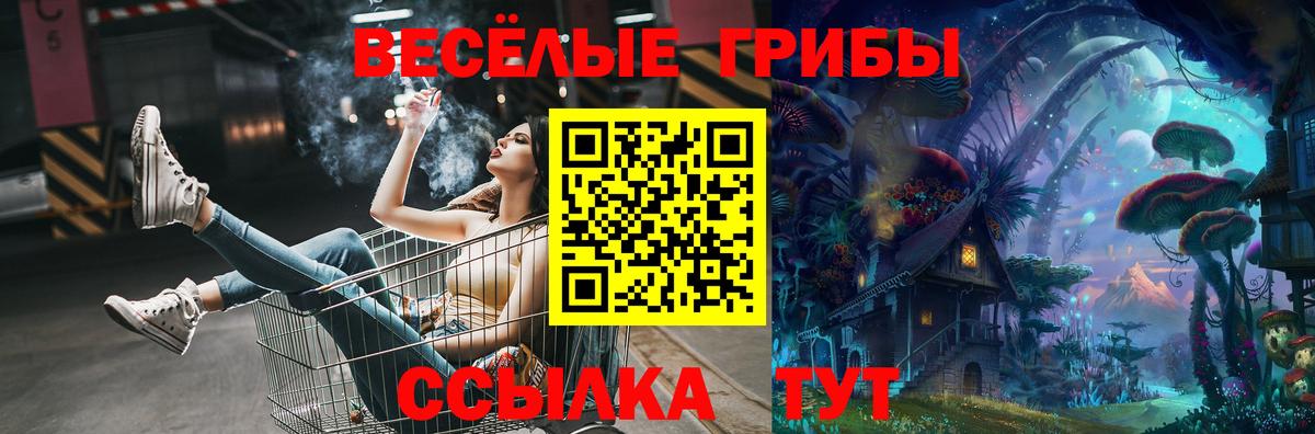 Псилоцибиновые грибы Cubensis Коломна